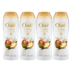 Shampoo + Conditioner 2-in-1 Argan Oil– Oily Hair, 13.6 oz pack of 4